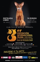 Cat Show Expo Gato Puebla 2018