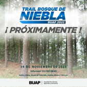 Ultra Trail Bosque de Niebla BUAP - Carrera