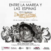 Entre la Marea y las Espinas - Exposición Temporal