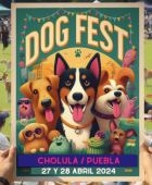 Dog Fest en Cholula