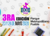 POSPUESTO - Dog Fest Puebla 2020