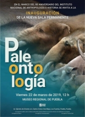POSPUESTO - Paleontología - Exposición Permanente