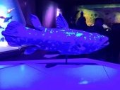 Museo de la Evolución en Puebla - Exposición Permanente