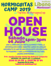 Open House de Hormiguitas Camp 2019