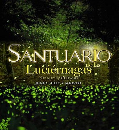 TP: Santuario de las Luciérnagas en Tlaxcala - en Puebla 