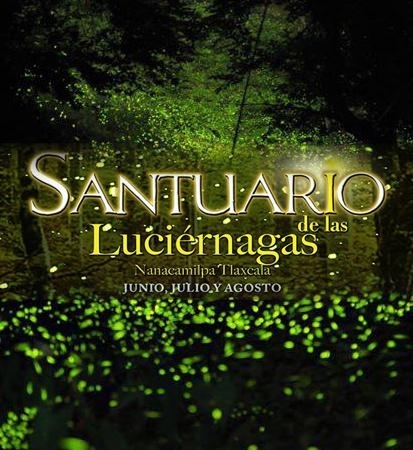 TP: Santuario de las Luciérnagas en Tlaxcala - en Puebla TP: Santuario de las Luciérnagas en Tlaxcala - en Puebla