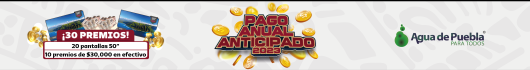 PAGO ANUAL ANTICIPADO 2023
