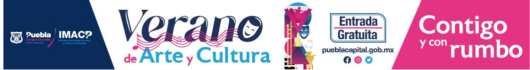 RECOMENDACIONES CENIZA