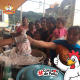 pollofeliz