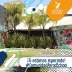 anrodschool