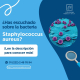 lmicrobiologiapasteursadecv
