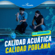 alphacuaticescueladenatacionenalbercatechada