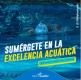 alphacuaticescueladenatacionenalbercatechada