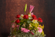 disenosfloralesconeeordonez
