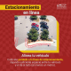 escuelademanejolemans