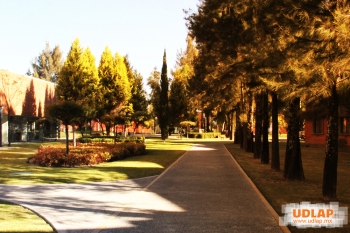 Ciencias de la Salud - UDLAP - Universidad de las Américas Puebla - Puebla
