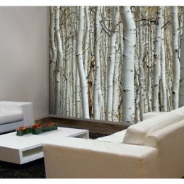 BORA cortinas, persianas y decoración - Puebla