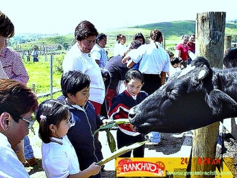 Alimenta y ordeña las vacas - Granja Didáctica El Ranchito - Puebla