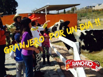 Conoce y alimenta a los becerros - Granja Didáctica El Ranchito - Puebla