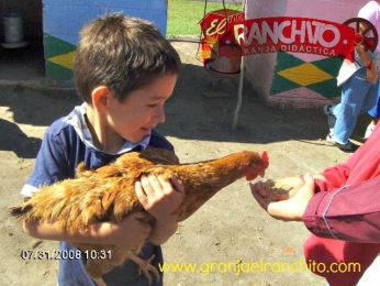 Alimenta las gallinas - Granja Didáctica El Ranchito - Puebla