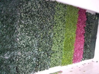Tenemos opciones de muros verdes de la más alta calidad. - BORA cortinas, persianas y decoración - P...