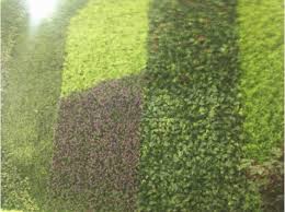 Pasto Sintético, para un toque  mas  lindo para tu casa o evento. - BORA cortinas, persianas y decor...