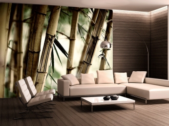 bamboo - BORA cortinas, persianas y decoración - Puebla