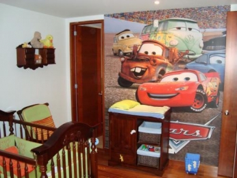 cars 2 - BORA cortinas, persianas y decoración - Puebla