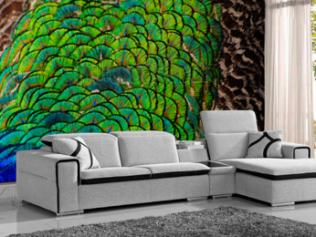 pavoreal - BORA cortinas, persianas y decoración - Puebla