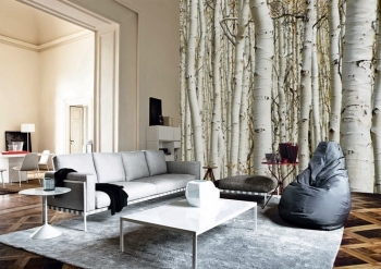 troncos - BORA cortinas, persianas y decoración - Puebla