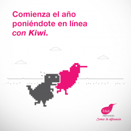 Ponte en línea con Kiwi Networks - Kiwi Networks - Puebla