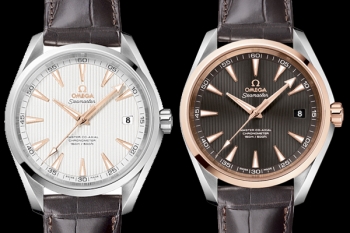 OMEGA SEAMASTER AQUA TERRA

41.5 mm - Automático - Acero - Bauer Joyeros - Puebla
