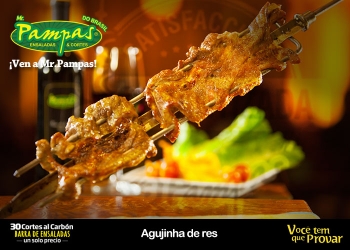 Agujinha de res - Mr. Pampas - Puebla