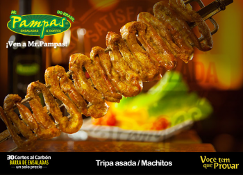 Tripa asada / machitos - Mr. Pampas - Puebla