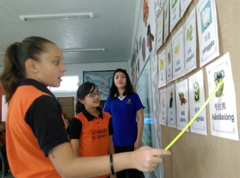 Anrod School excelente institución para tus hijos. - Anrod School - Puebla