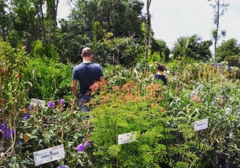 Diplomado Presencial en Paisajismo y Diseño de Jardines / Visita a viveros en Atlixco, Pue. - Univer...