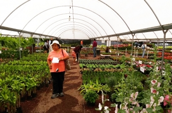 Diplomado Presencial en Paisajismo y Diseño de Jardines / Visita a viveros en Atlixco, Pue. - Univer...