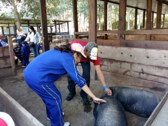 Actividades en granjas - Colegio Montessori Ángeles - Puebla