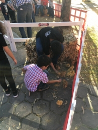 Patitos y poliitos no pueden faltar en la granjita, son tan tiernos que nos arrancan suspiros. - Gra...