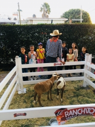 Y los borreguitos? y la lana que? ven a conocerlos!!! - Granja Didáctica El Ranchito - Puebla