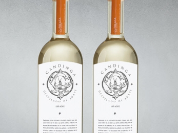 Rediseño de marca - Monkey & Banana - Marketing Solutions - Puebla