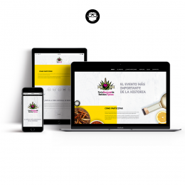 Creación de marca - Monkey & Banana - Marketing Solutions - Puebla