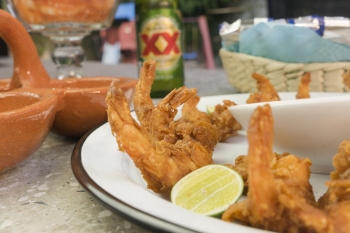Platillos con Camarones  - Costamía Mariscos - Puebla