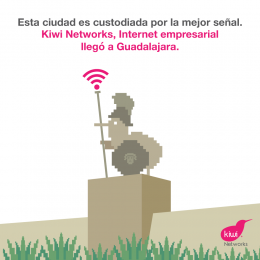 Kiwi Networks tiene la mejor señal de internet empresarial - Kiwi Networks - Puebla