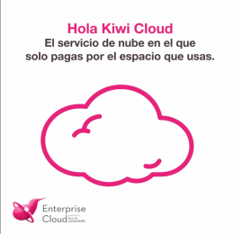 Con Kiwi Cloud sólo pagas lo que usas - Kiwi Networks - Puebla