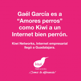 Internet empresarial desde 10 Mbps hasta 100 Mbps - Kiwi Networks - Puebla