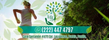 Centro Quiropráctico Vida Sana - Puebla