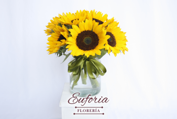 ¿Buscas un regalo especial? Pregunta por nuestros ramos de flores  - Florería Euforia - Puebla
