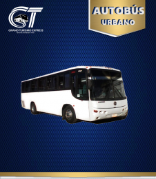 AUTOBÚS URBANO

*Capacidad desde 40 hasta 45 pasajeros abordo
*Asientos Reclinables 
*Ventanilla...