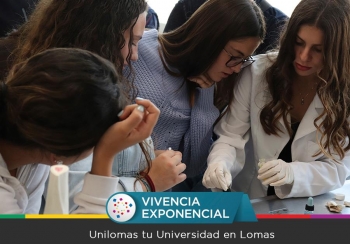 Unilomas – Tu Universidad en Lomas - Puebla